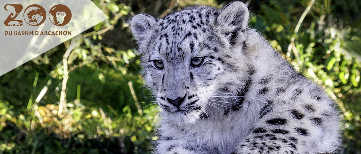 Zoo Bassin d'Arcachon (E-Billets)